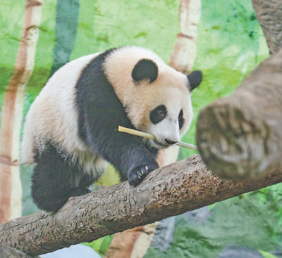 图片4.png